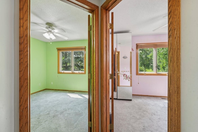 721 Conestoga Trl, Chanhassen, MN 55317 - photo 37