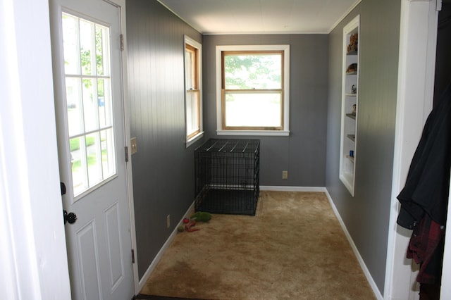 10698 625th Ave, Emmons, MN 56029 - photo 5