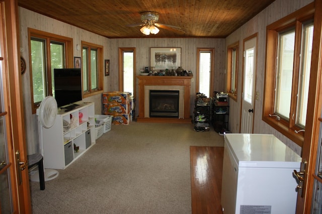 10698 625th Ave, Emmons, MN 56029 - photo 16