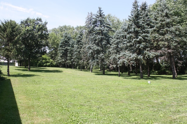 10698 625th Ave, Emmons, MN 56029 - photo 36