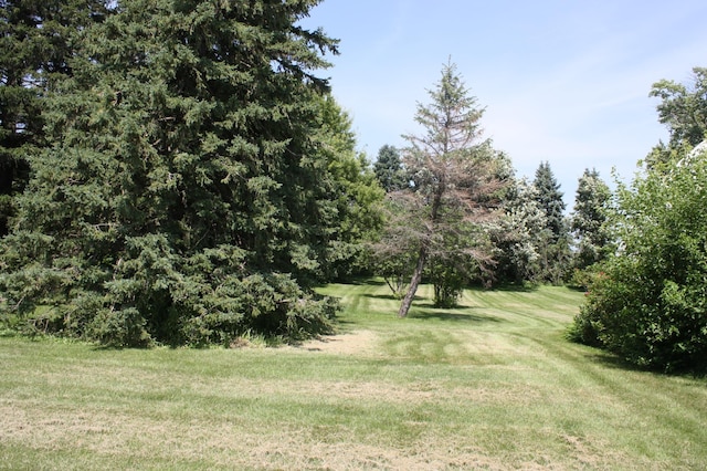 10698 625th Ave, Emmons, MN 56029 - photo 49