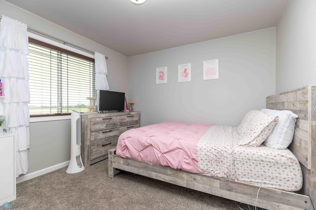 1158 Highland Ln W, West Fargo, ND 58078 - photo 29
