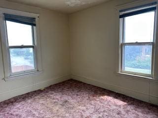 291 Fisk St, Saint Paul, MN 55104 - photo 14