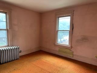 291 Fisk St, Saint Paul, MN 55104 - photo 15