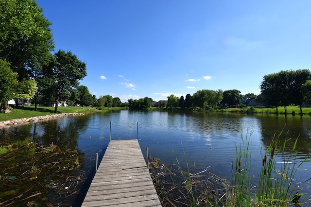 1580 Meadowview Trl, Hastings, MN 55033 - photo 4