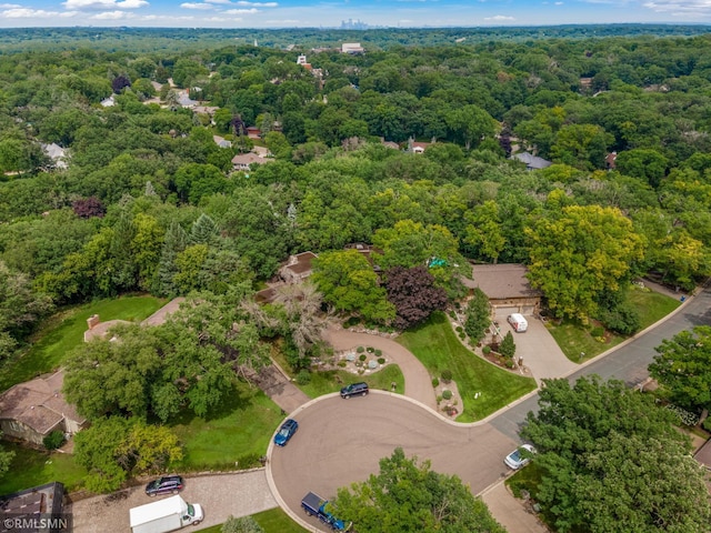 6216 Braeburn Cir, Edina, MN 55439 - photo 54