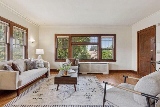 4213 Cedar Ave S, Minneapolis, MN 55407 - photo 6