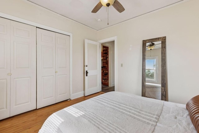 4213 Cedar Ave S, Minneapolis, MN 55407 - photo 20