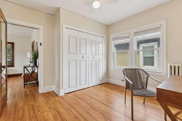 4213 Cedar Ave S, Minneapolis, MN 55407 - photo 24