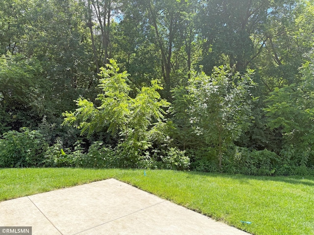 30 Cedar Ct, Annandale, MN 55302 - photo 4