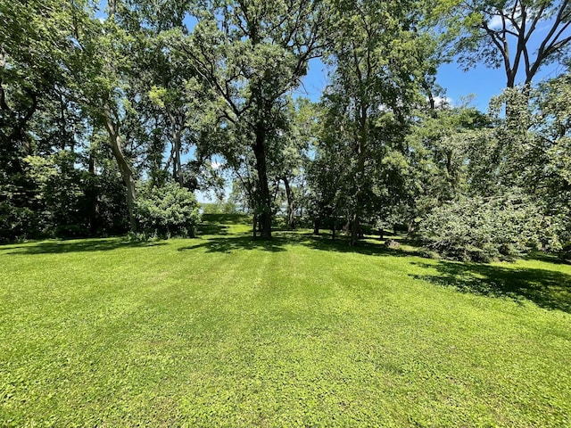 17970 780th Ave, Albert Lea Twp, MN 56007 - photo 5