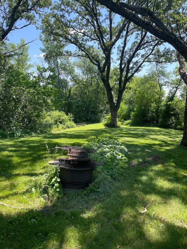 17970 780th Ave, Albert Lea Twp, MN 56007 - photo 10