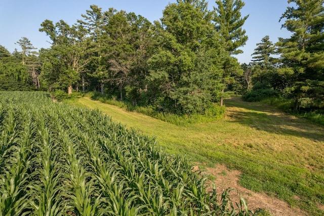 2259A 22nd St, Rice Lake, WI 54868 - photo 9