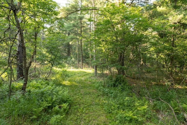 2259A 22nd St, Rice Lake, WI 54868 - photo 15