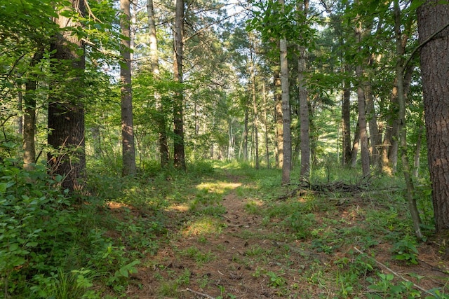 2259A 22nd St, Rice Lake, WI 54868 - photo 13