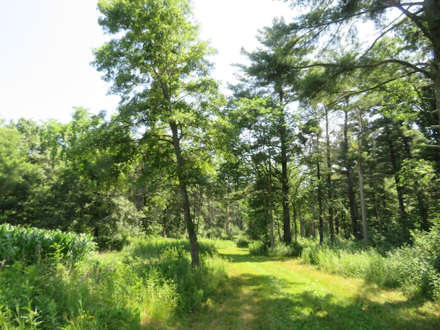 2259A 22nd St, Rice Lake, WI 54868 - photo 11