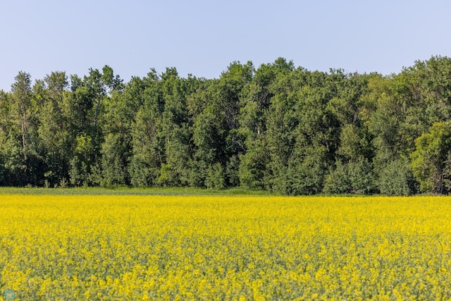 TBD Lake Rd, Bottineau, ND 58318 - photo 4