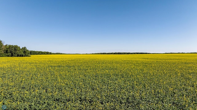 TBD Lake Rd, Bottineau, ND 58318 - photo 16