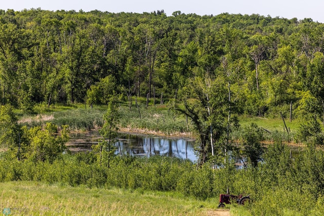 TBD Lake Rd, Bottineau, ND 58318 - photo 31