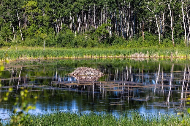 TBD Lake Rd, Bottineau, ND 58318 - photo 40