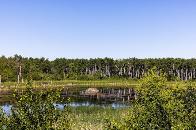 TBD Lake Rd, Bottineau, ND 58318 - photo 41