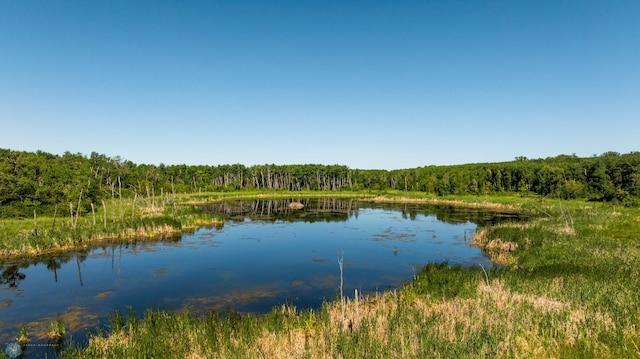 TBD Lake Rd, Bottineau, ND 58318 - photo 46