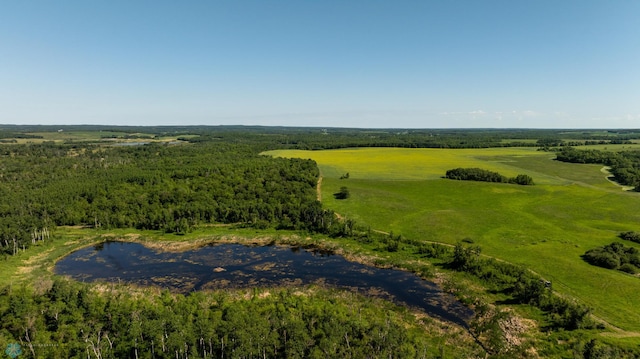 TBD Lake Rd, Bottineau, ND 58318 - photo 48