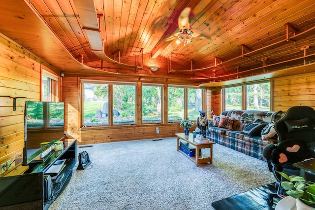 51278 Wildview Ln, Farden Twp, MN 56601 - photo 22