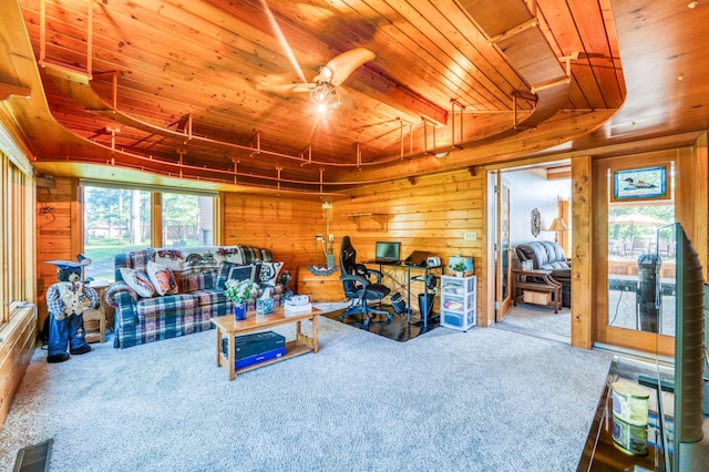 51278 Wildview Ln, Farden Twp, MN 56601 - photo 23