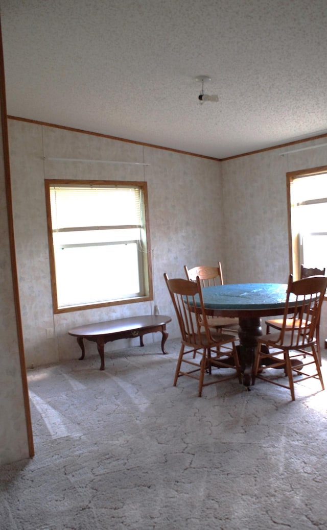 3637 Spencer Rd, Skelton Twp, MN 55707 - photo 17
