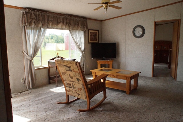 3637 Spencer Rd, Skelton Twp, MN 55707 - photo 11