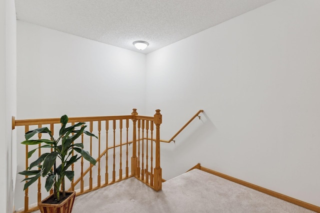59 Landau Alcove, Woodbury, MN 55125 - photo 12