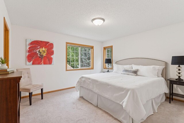59 Landau Alcove, Woodbury, MN 55125 - photo 13