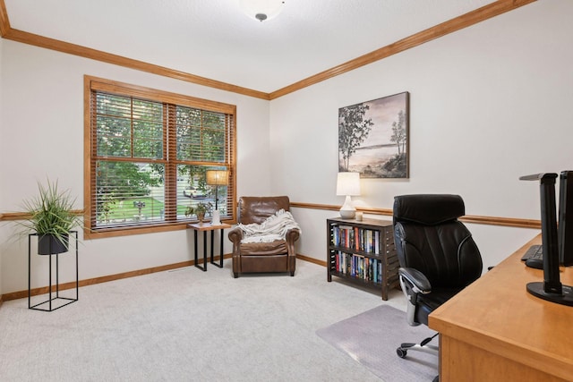 18052 Cole Ct, Eden Prairie, MN 55347 - photo 19