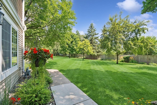 10916 Colorado Ave N, Champlin, MN 55316 - photo 3
