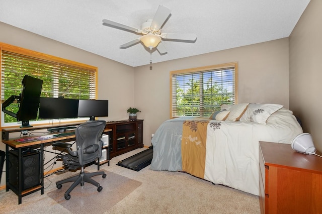 10916 Colorado Ave N, Champlin, MN 55316 - photo 21