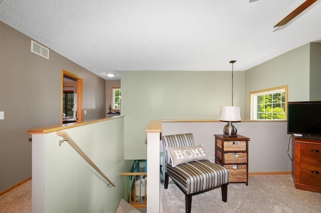 10916 Colorado Ave N, Champlin, MN 55316 - photo 17