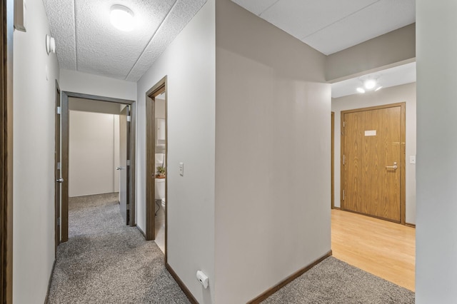 3320 Louisiana Ave S Unit 310, Saint Louis Park, MN 55426 - photo 20