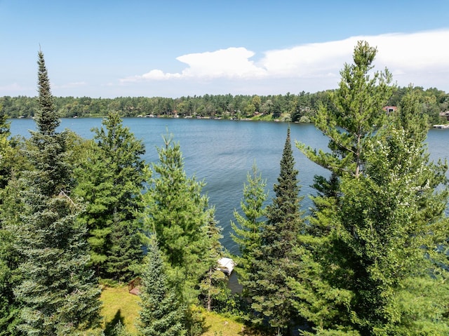 N3869 Long Lake Rd, Birchwood, WI 54876 - photo 4