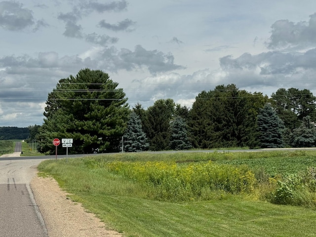 N3706 690th St, Hartland Twp, WI 54011 - photo 9