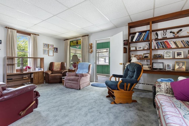612 Emory St, Tracy, MN 56175 - photo 25