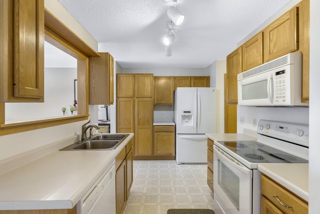 10450 64th Way NE, Albertville, MN 55301 - photo 7