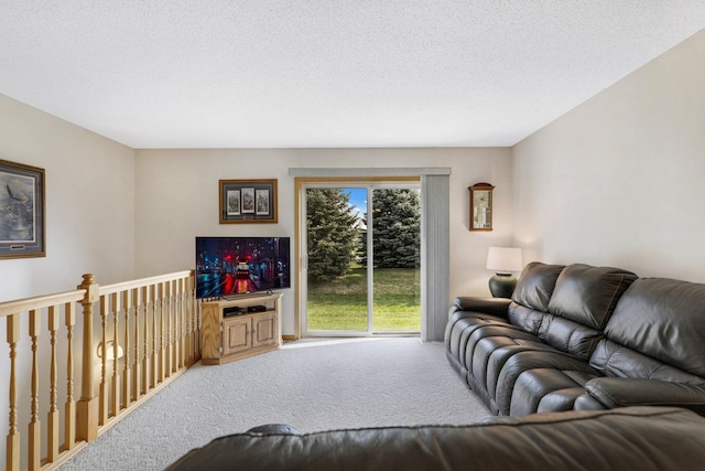 10450 64th Way NE, Albertville, MN 55301 - photo 16