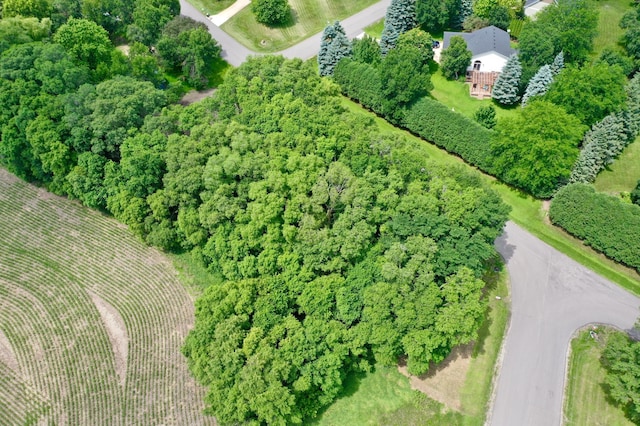 TBD 161st Ave NE, New London Twp, MN 56273 - photo 4