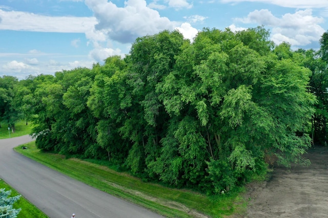 TBD 161st Ave NE, New London Twp, MN 56273 - photo 6