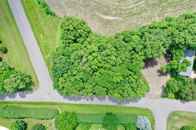 TBD 161st Ave NE, New London Twp, MN 56273 - photo 8
