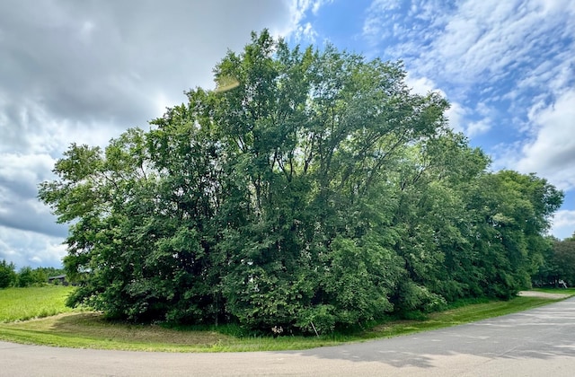 TBD 161st Ave NE, New London Twp, MN 56273 - photo 11
