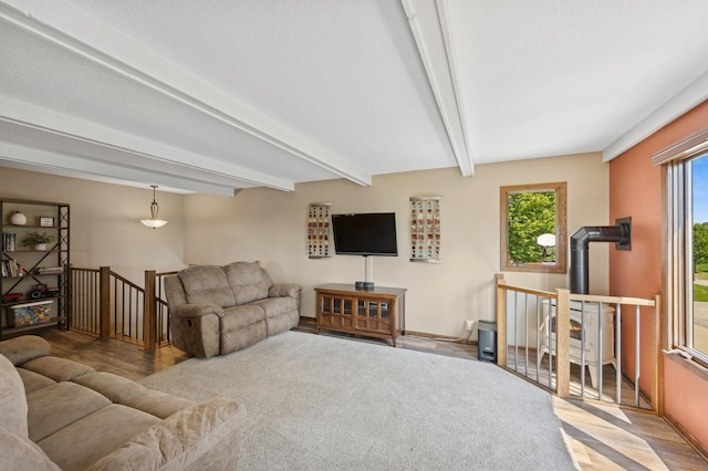9447 85th St NE, Otsego, MN 55362 - photo 36