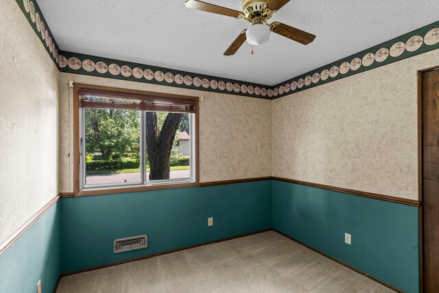 8844 75th St S, Cottage Grove, MN 55016 - photo 26