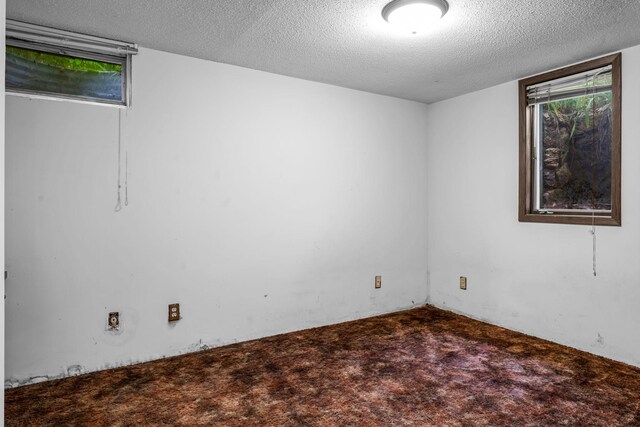 8844 75th St S, Cottage Grove, MN 55016 - photo 55